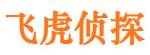 方正侦探